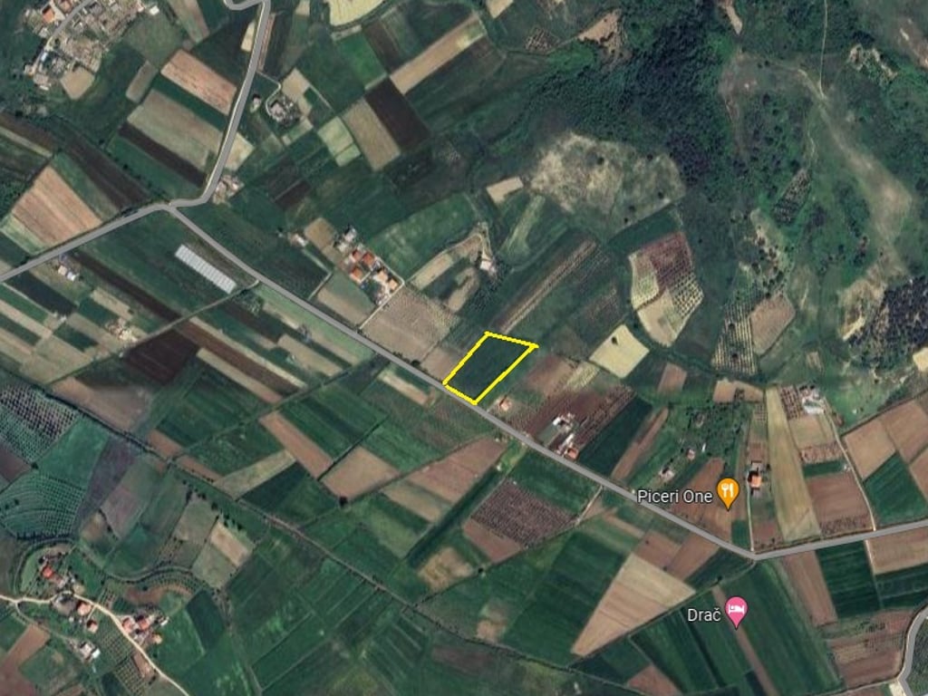 ‼️SHITET‼️🍐Toke e mbjelle me dardhe,Golem,Kavaje