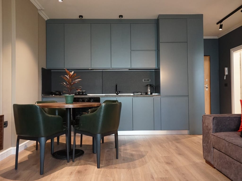 1+1 apartment for rent near the old exhibition center.