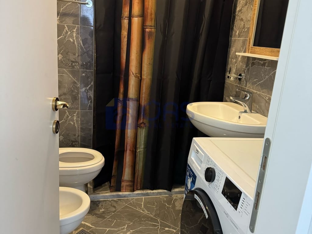 A 2+1 apartment is for rent near the Old Park.