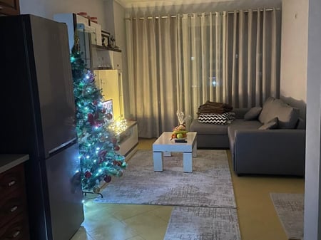1+1 apartment in Astir near 2 Palm trees.