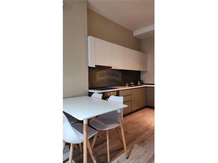 1+1 apartment for rent