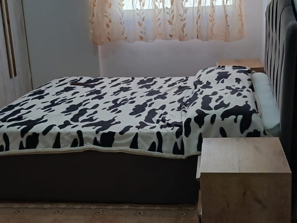 1+1 per qira afer 21 Dhjetorit, Kompleksi Star