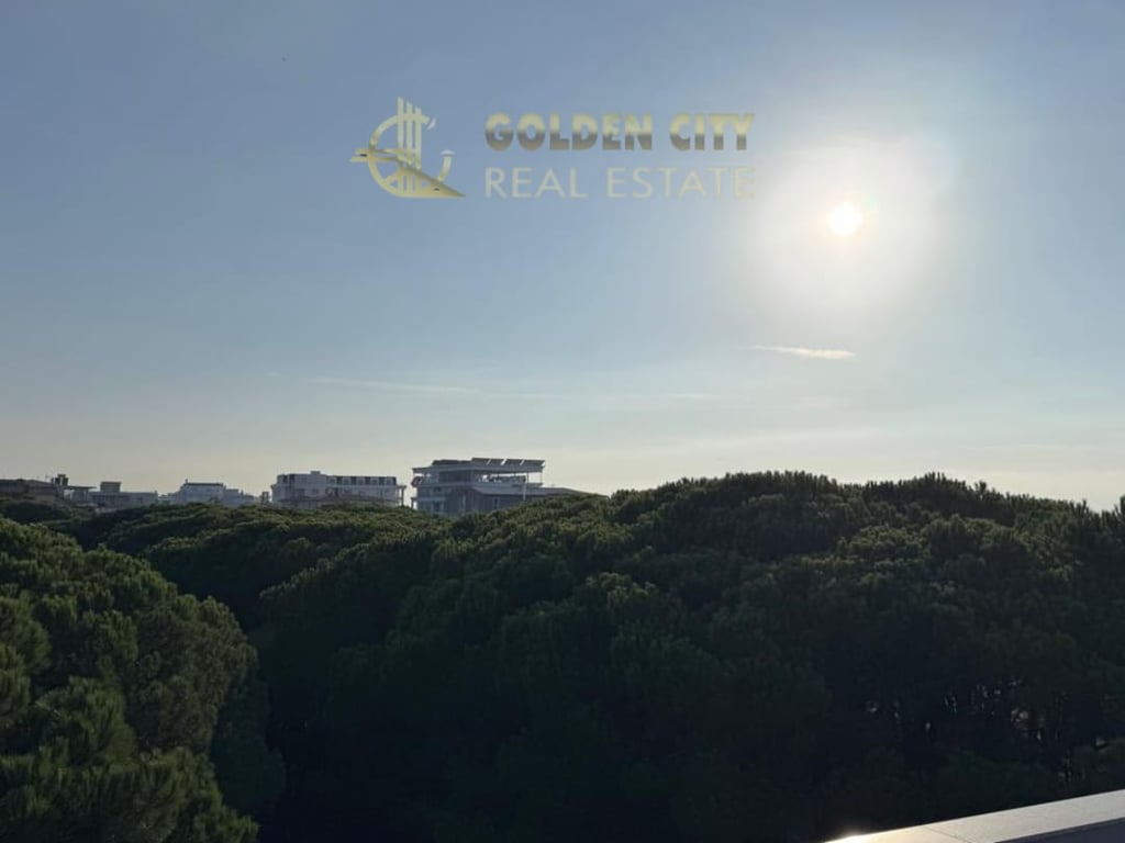 Ofrojme per shitje pentause 2+1+2. 210m2