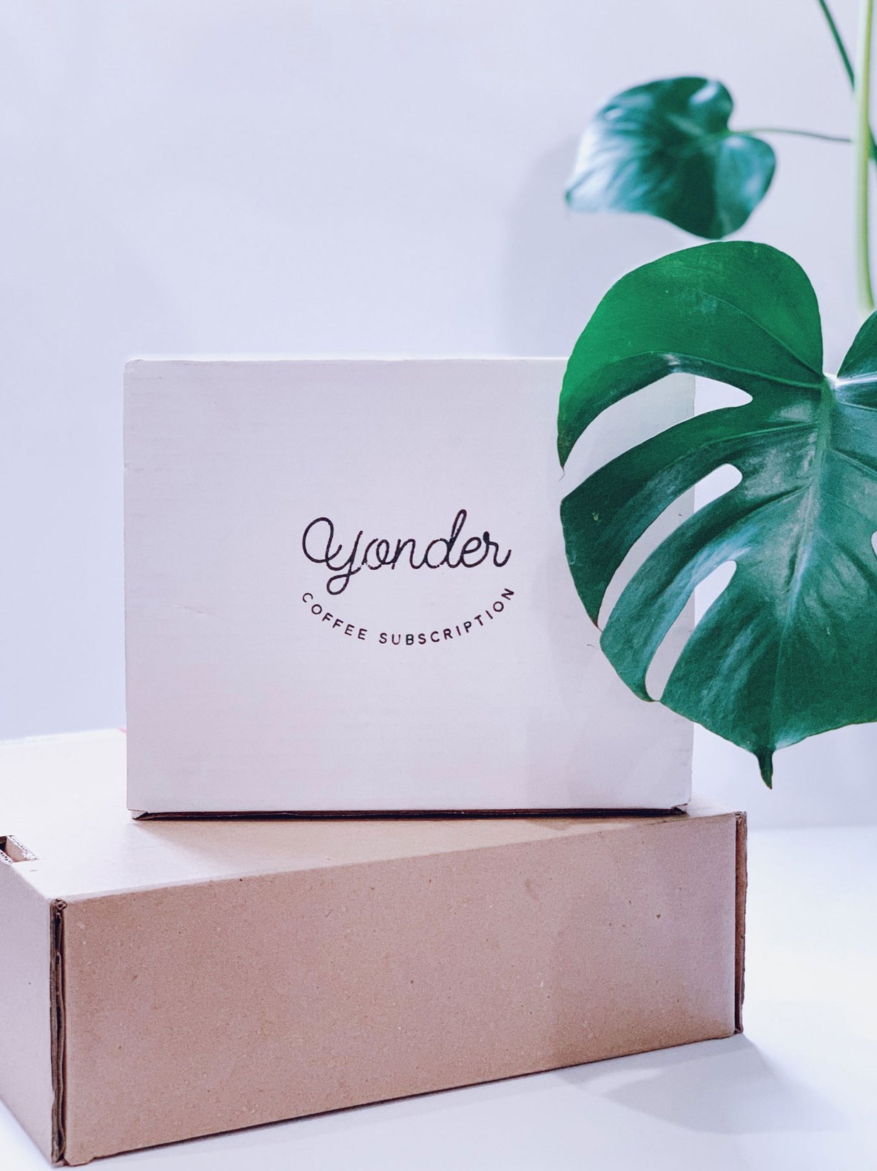 Yonder Coffee specialty roasted coffee beans from Durham
