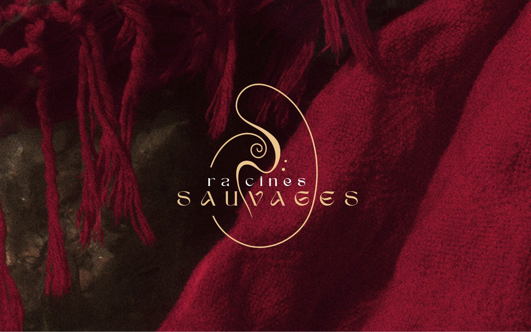 Galerie 1 de Racines Sauvages