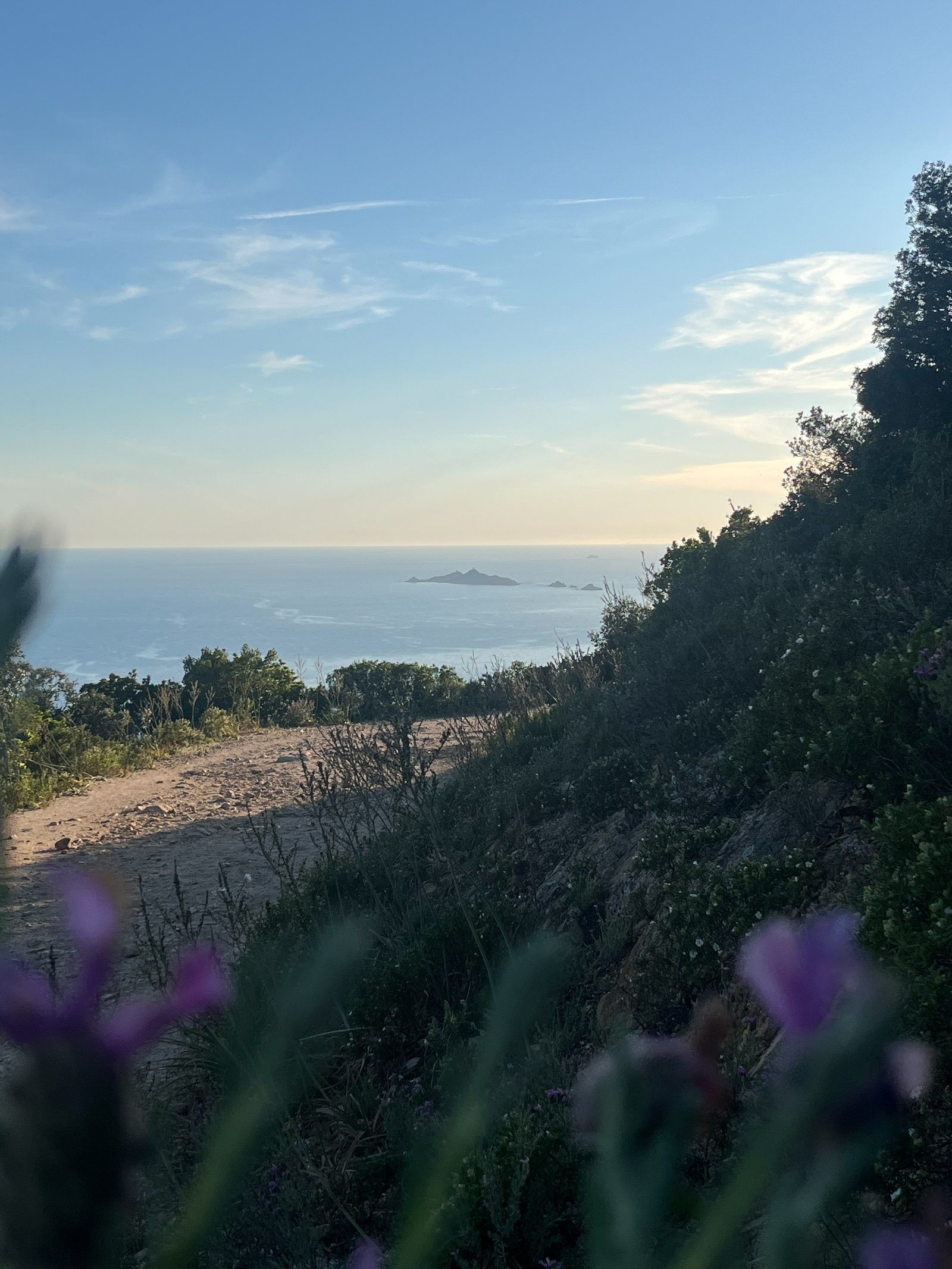 Vue d'Ajaccio et des Îles Sanguinaires — où je travaille