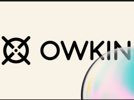 Owkin