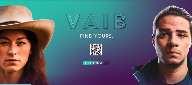 Vaib screenshot 1