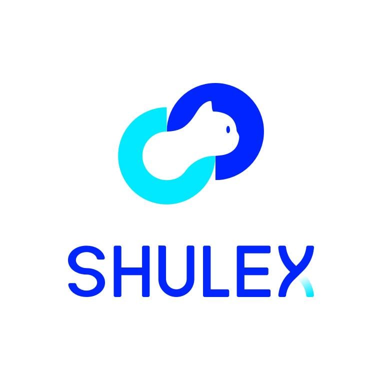 Shulex VOC ChatGPT Copilot for Ecommerce