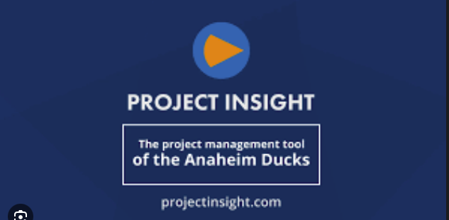 Project Insight