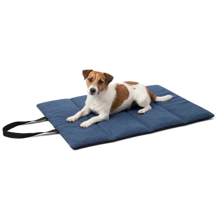 dark blue travel dog bed