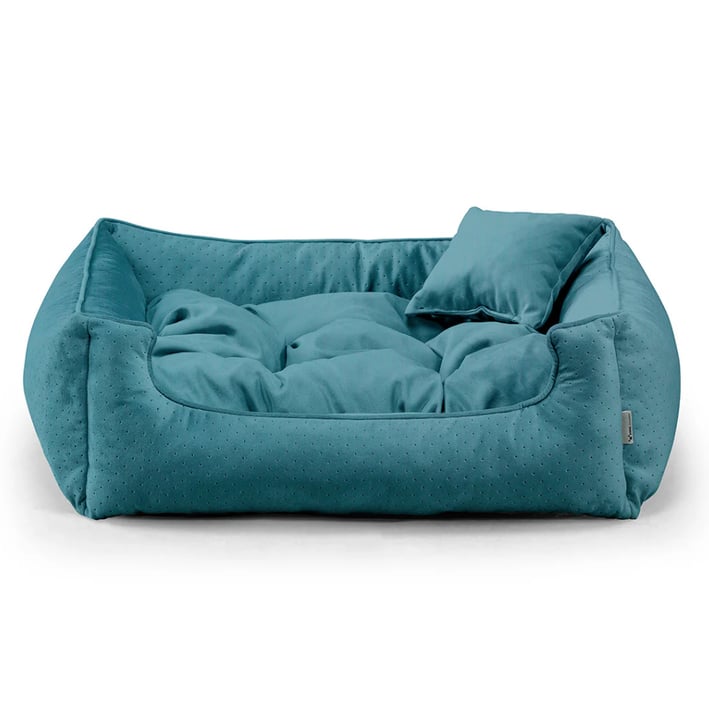 teal dog bed