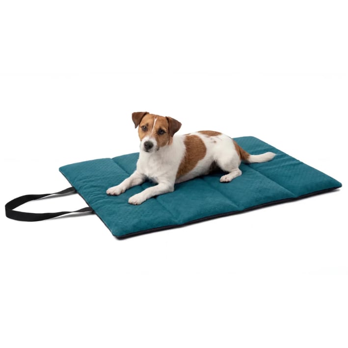 teal travel dog mat