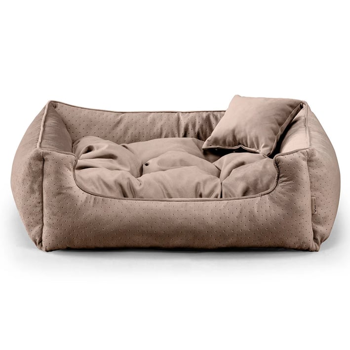 brown dog bed