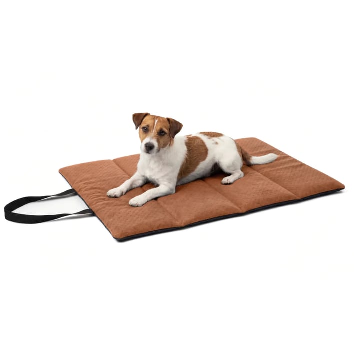cinnamon travel dog bed