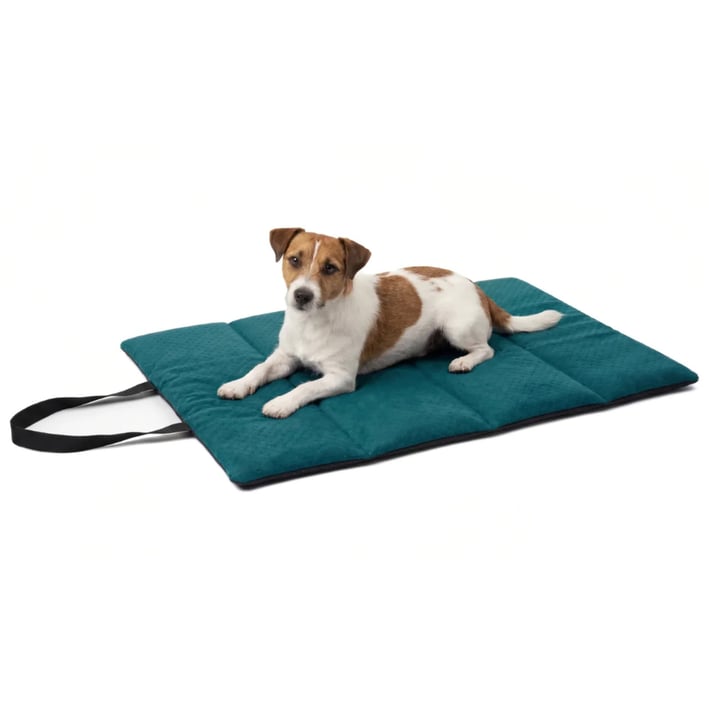 Double‑Sided Waterproof Travel Mat - TravelNest™ - Emerald