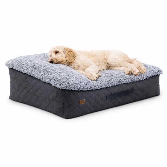shaggy dog bed