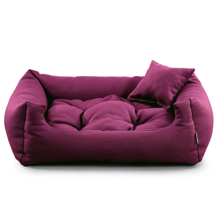 violet comfy nelo dog bed