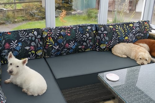 Bespoken cushions in Llanybydder