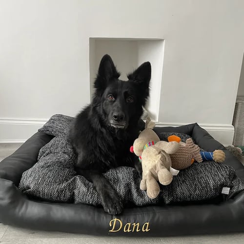 Black dog bed personalized
