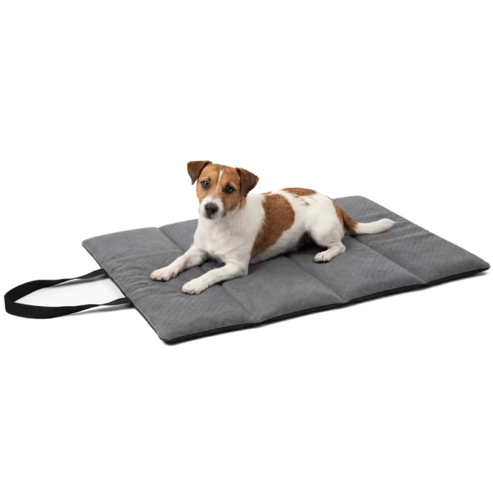 dark grey travel dog bed