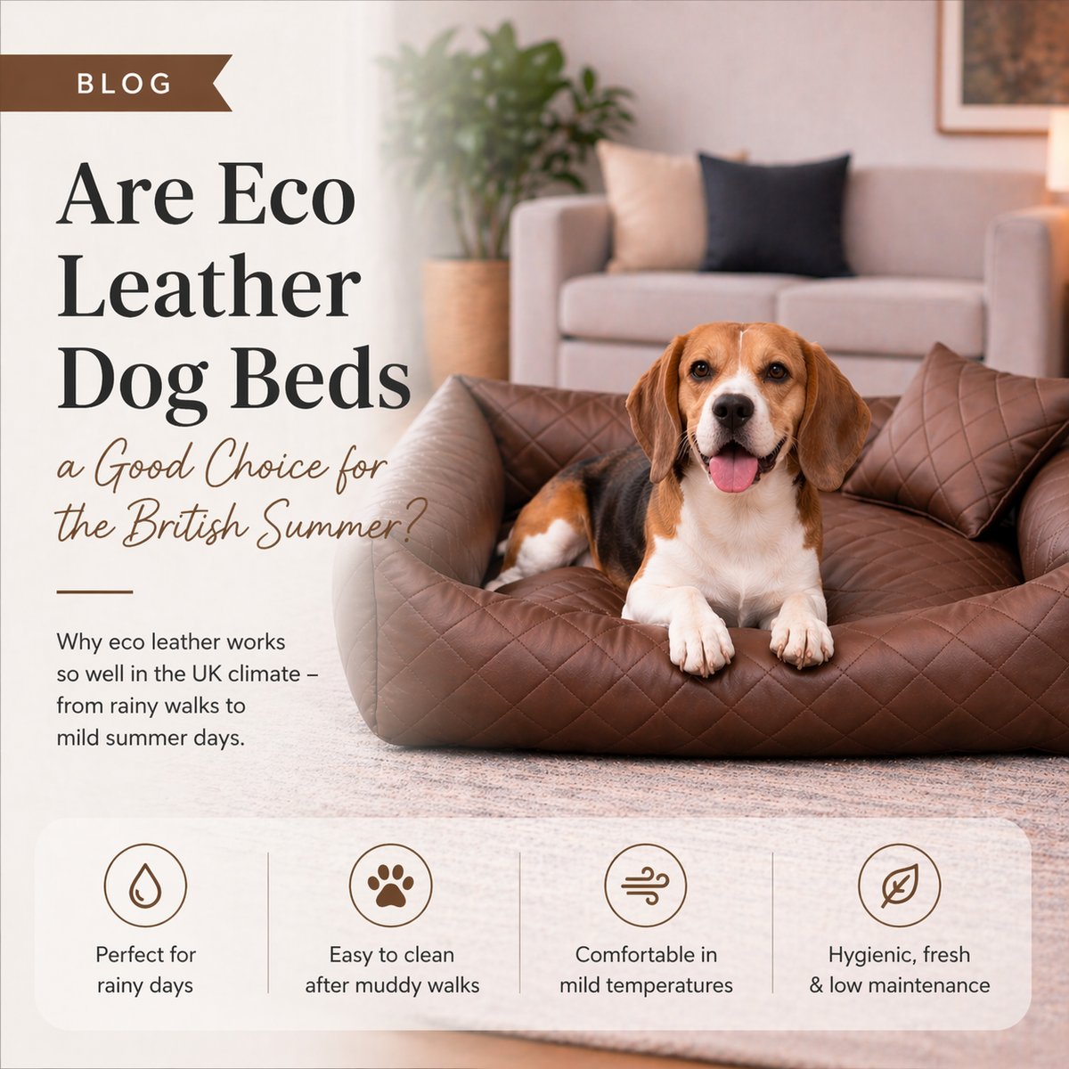 Are Eco Leather Dog Beds a Good Choice for the British Summer?