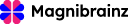 Magnibrainz