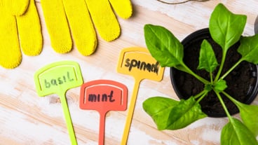 Preparing for the planting season growing organic vegetables in the garden