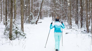 Skier in windbreaker and hat with pompom with ski poles in his hands with his back against the background of a snowy forest. Cross-country skiing in winter forest, outdoor sports, healthy lifestyle.