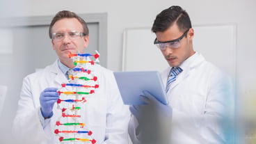 Scientists examining dna helix