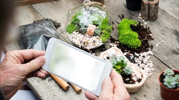 taking a photo of terrarium on the table