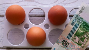 Chicken eggs on the background of banknotes
