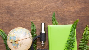 Flat display of plants and study articles.