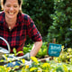 Woman planting vegetable in greenhouse