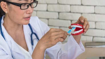 Mature doctor brushing dentures in the clinic