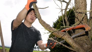 Low angle view of mid adult man cutting trees in forest