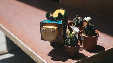 High angle view of potted plant on table