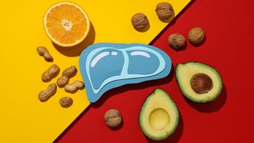 Paper mockup of liver and food on red and yellow background top view