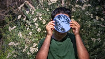 Portrait of man holding mirror against white flowering plants