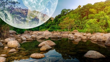 Ecosystem and nature preservation and sustainable concept CREDIT NASA Forest trip nature conservation