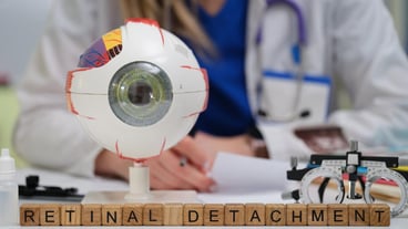 A Comprehensive Understanding of Retinal Detachment Insights into Medical Research and Models