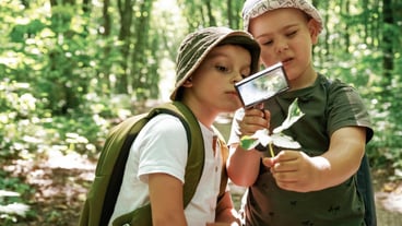 Exploring plants through magnifying glass Kids in forest at summer daytime together