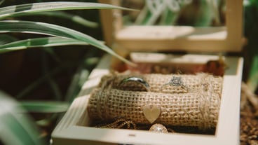 Close-up of potted plant