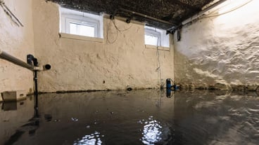Water damage in household insurance after a pipe burst or flood in the basement or garage with mold