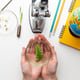 Close-up of hands holding the petri dish