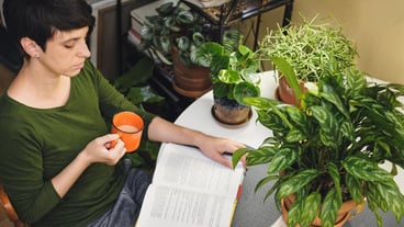 Woman at reading place near houseplants with opened book digital detox