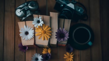 High angle view of purple flowers on table
