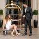 Elegant couple at hotel stock entrance elegant woman sits on European luggage trolley in hotels