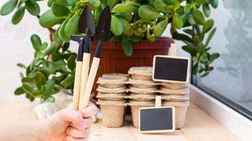 Gardening tool set for indoor plants