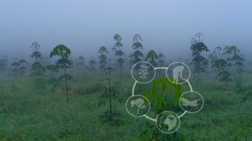 Learning resources on tourism and agriculture Conservation of nature Sustainable tourism